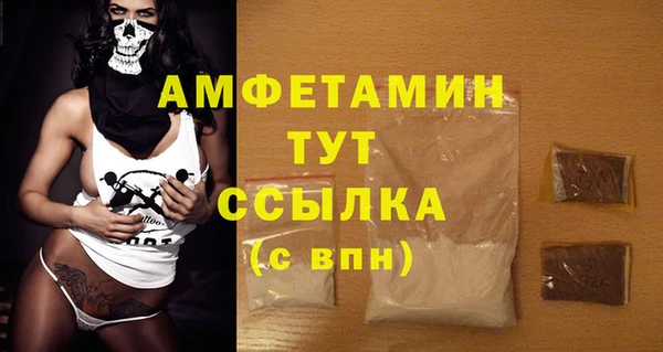 стафф Алексин