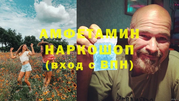 стафф Алексин
