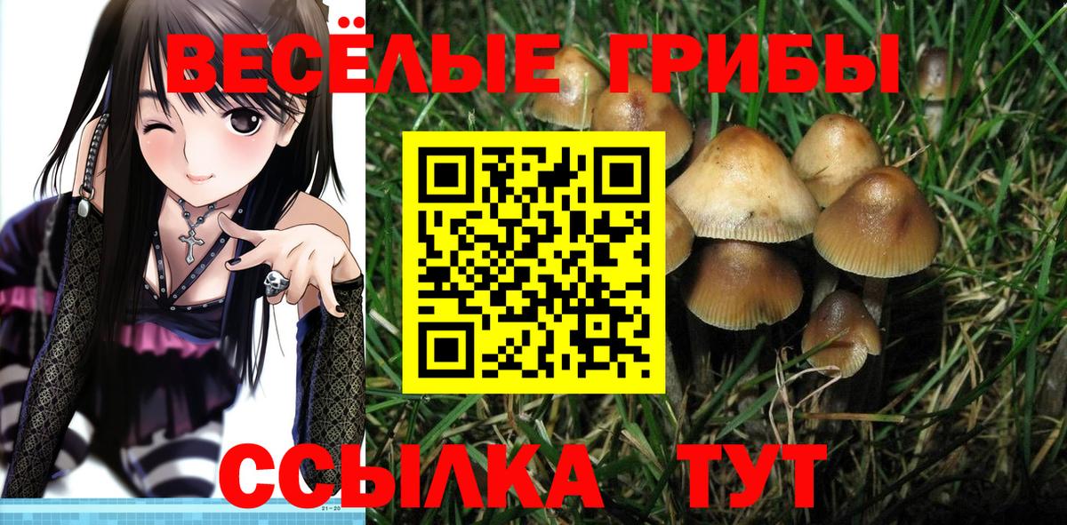Псилоцибиновые грибы Psilocybine cubensis  Вход с VPN  Арзамас  Галлюциногенные грибы Psilocybe 